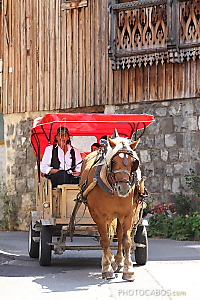 tour de Morzine en traineau