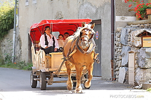 tour de Morzine en traineau