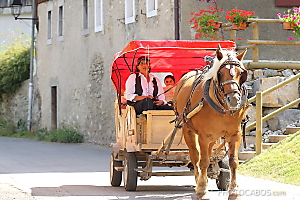 tour de Morzine en traineau