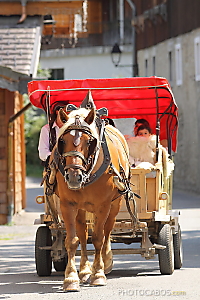 tour de Morzine en traineau