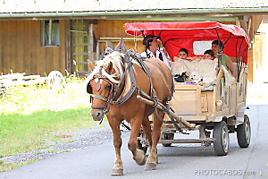 tour de Morzine en traineau