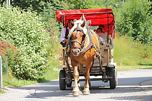 tour de Morzine en traineau