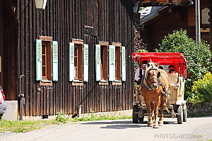 tour de Morzine en traineau