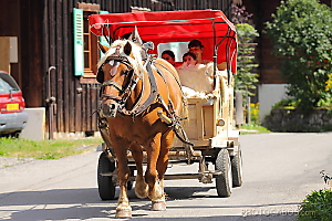 tour de Morzine en traineau