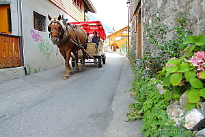 tour de Morzine en traineau