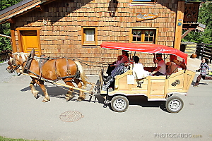 tour de Morzine en traineau