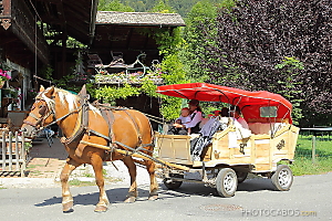 tour de Morzine en traineau