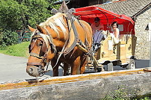 tour de Morzine en traineau